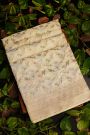 Banarasi Silk Cream Saree