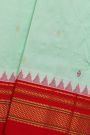 Narayanpet Silk Light Blue Saree
