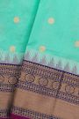 Narayanpet Silk Sky Blue Saree
