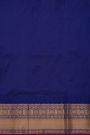 Narayanpet Silk Sky Blue Saree