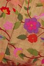 Paithani Silk Dual Colour Saree