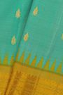 Gadwal Silk Sky Blue Saree With Florals And Leaves In Zari