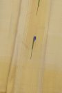 Kancheepuram Silk Cream Dhoti With Muniya Buttis Border