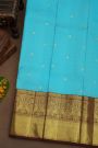 Kancheepuram Pure Silk Sky Blue Saree With Florals and Leaves Border