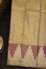 Kancheepuram Silk Dual Colour Saree With Florals And Leaves Border