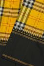 Kancheepuram Silk Multi Colour Checks Saree With Plain Temple Border