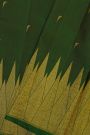Kancheepuram Silk Bottle Green Saree With Muniya Buttis Body And Temple Border
