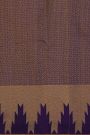 Kancheepuram Silk Dual Colour Saree With Mat Finish Weaving Body And Self Temple Border
