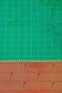 Narayanpet Silk Sea Green Saree With Muniya Buttis Border