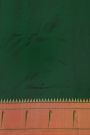 Narayanpet Silk Bottle Green Saree With Muniya Buttis Border