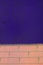 Narayanpet Silk Navy Blue Saree With Muniya Buttis Border