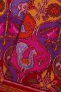 Patola Silk Multi-Colour Saree With Florals And Animal Theme Body