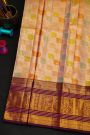 Kancheepuram Tissue Saree With Silver And Multi-Colour Weaving