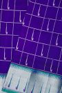 Venkatagiri Silk Royal Blue Saree With Checks And Muniya Buttis Body