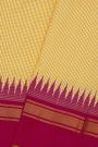 Ikat Silk Multi-Colour Saree With Multi-Coloured Checks Body