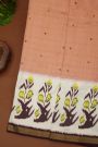 Ikat Silk Dual Colour Saree With Florals And Leaves In Ikat Design Body