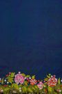 Fusion Ikat Silk Dual Colour Saree With Florals And Leaves In Thread Work Border