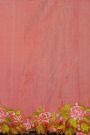 Fusion Ikat Silk Sky Blue Saree With Pochampally Weave Body