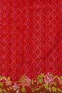Fusion Ikat Silk Red Saree With Pochampally Weave Body
