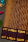 Kancheepuram Silk Sky Blue Saree With Zari Checks And Floral Buttis Body And Gap Border