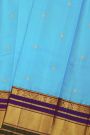 Kancheepuram Silk Sky Blue Saree With Cross Lines And Florals Kuttu Border