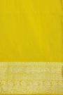 Venkatagiri Silk Mint Green Saree With Florals And Leaves Jaal Birds Border