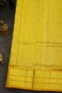 Venkatagiri Silk Pista Green Saree With Elephant And Peacock Box Motif Border