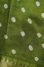 Kalamkari Green Saree With Cross Lines Temple Border