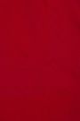 Chanderi Silk Red Saree With Floral And Buttis Body