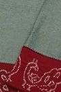 Fancy Kora Powder Blue Saree With Bandhani Border