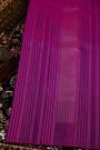 Kancheepuram Silk Purple Saree