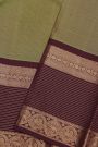 Kancheepuram Silk Dual Colour Saree With Zari Checks Body Contrast Border