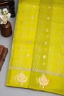 Designer Organza Lime Green Saree