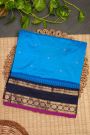 Narayanpet Silk Sky Blue Saree
