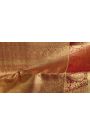Kancheepuram Silk Gold Saree With Florals And Leaves Body And Contrast Zig-Zag Lines With Florals And Animals Border