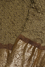 Bandhani Silk Beige Saree
