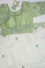 Designer Organza Pista Green Saree