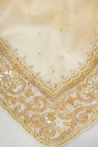 Designer Organza Cream Saree