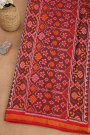 Patola Silk Multicolour Saree