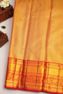 Kancheepuram Silk Multicolour Saree
