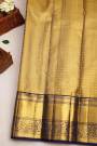 Kancheepuram Silk Multicolour Saree