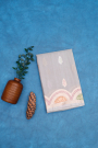 Designer Organza Beige Saree