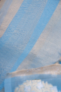 Designer Organza Sky Blue Saree