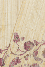 Designer Tussar Cream Saree