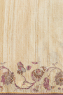 Designer Tussar Cream Saree