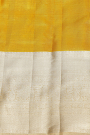 Kancheepuram Tissue Dual Colour Saree
