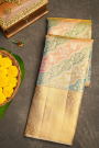 Kancheepuram Tissue Multicolour Saree