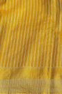 Fusion Tissue Gold Saree