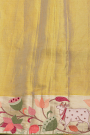 Fusion Tissue Dual Colour Saree